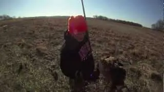 BIRD HUNT - ROYAL FLUSH