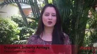 Voto p&uacute;blico Partido Libre Corte Suprema
