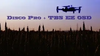 TBS EZOSD + TBS Discovery Pro