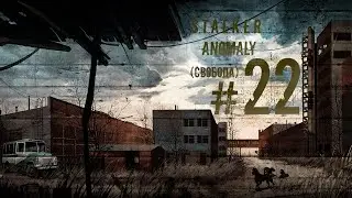 S.T.A.L.K.E.R. Anomaly #22 (Свобода)