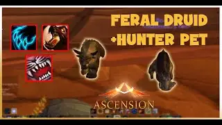 ДИКИЙ ДРУИД С ПИТОМЦЕМ-ОХОТНИКОМ!? | Project Ascension S7 | Случайная прокачка World Of Warcraft