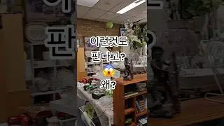 [호주데이] 호주의 OP Shop 탐방!!!진짜 다 있다!😲