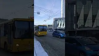 💛085💛@Новосиб_гор_транс @Transport_nsk @Staizer154 #нефаз #automobile