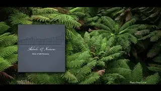 Greenaway: Etude in F minor (Aubade & Nocturne)