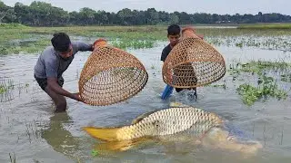 Fish Hunting By Bamboo Tools Polo Trap | Village Smart Boys Fishing With Polo