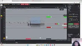 Trading Journal #1 -$100