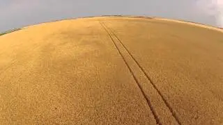 Contrôlre d'un nid de Busard Saint-Martin par un drone