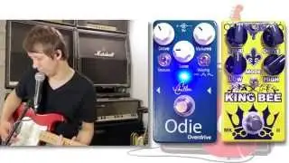 Chellee Guitars Odie Overdrive против Walker Effects King Bee MK2