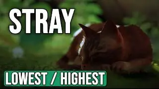 Stray - LOW vs HIGH Graphics Settings Test