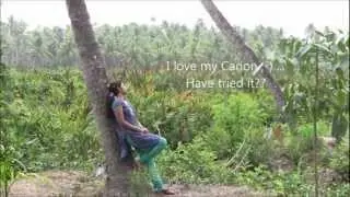 Canon HD Legria HF M306 test