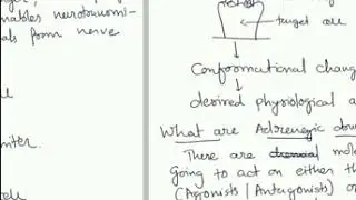 Adrenergic system Introduction - medicinal chemistry pharmacy lesson 5