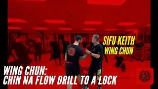 Wing Chun - Chin Na Flow Drill to a Lock