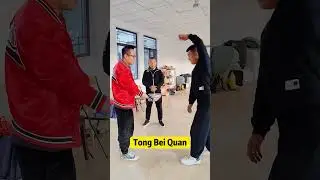Traditional Chinese Kungfu, Tongbei Quan