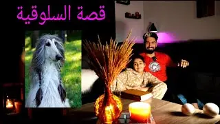 قصة السلوقية اجمل قصة في العالم (قصة حقيقية )