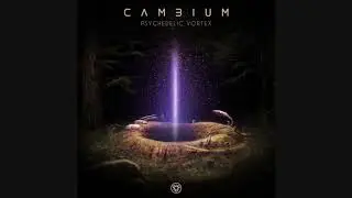 Cambium & Spiritual Mode - Psychedelic Vortex ᴴᴰ