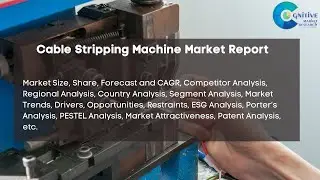 Cable Stripping Machine Market Report 2024