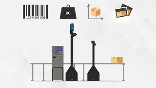 Why you need automated Parcel Dimensioning, Weighing, Scanning and Sorting