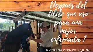 QUE USO PARA UNA MEJOR ENFRENADA DESPUÉS DEL FILETE?