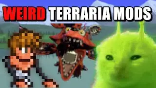 Playing WEIRD Terraria Mods