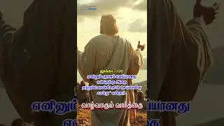 வாழ்வாகும் வார்த்தை_(17-SEP-2025)_TAMIL #biblereflection #dailybible #bibleverse #scripture #jesus