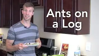 How to Make Ants on a Log