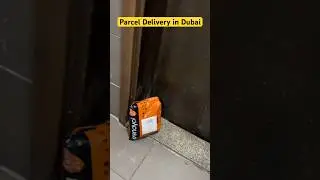 Parcel 📦 Delivery in Dubai #dubai #ytshort #safteyindubai