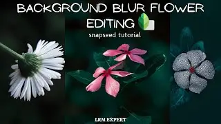 How to do background blur dslr in snapseed app