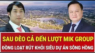 Sau Đèo Cả đến lượt MIK Group: Vì sao các ‘ông lớn’ đồng loạt tháo chạy khỏi siêu dự án sông Hồng?