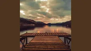 Peace Full People