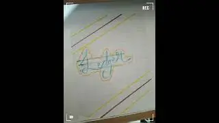 class 11th Accountancy project file   ( ACCOUNTING CYCLE)