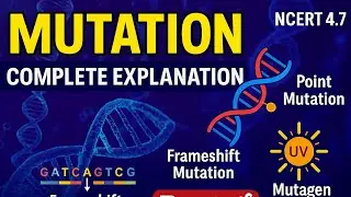 4.7 | Types of Mutations with Examples | Genetics | Explained in Telugu