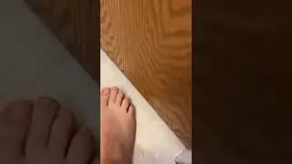 Cute so Cute