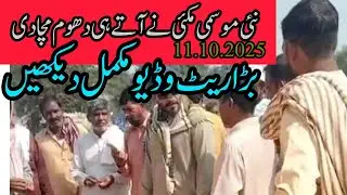NEW MAIZE RATE TODAY OKARA MANDI PUNJAB PAKISTAN 11.10.2025