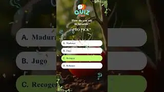 Spice Up Your Spanish with Tomato Vocab! 🔥 | C2