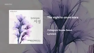 [Audioguy] Lyricism - The night to count stars (96kHz/24bit)
