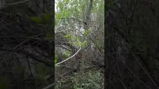 Jock River, Richmond, Ontario, Canada
