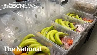 Canada&rsquo;s school food program has holes despite permanent funding pledge