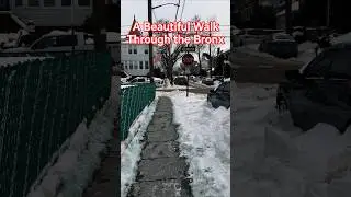 Прекрасная прогулка по Бронксу | Пешеходная экскурсия по Нью-Йорку 🇺🇲 #ньюйорк #бронкс #снег