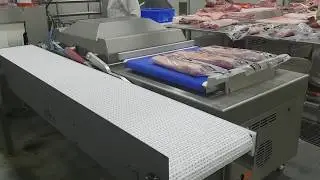 Viking V1020 Vacuum Packer