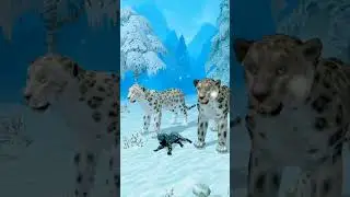 Snow leopard family sim😎