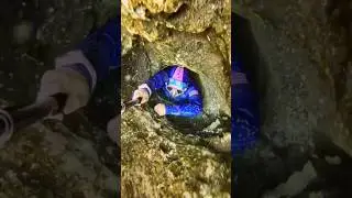 under water visiting 🤯😱 #shorts #trending #funadventure #shortsfeed