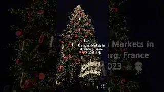 DON&rsquo;T MISS one of THE BEST Christmas Markets in Europe 🎅🏻📍in Strasbourg, France!🎄#christmas2023