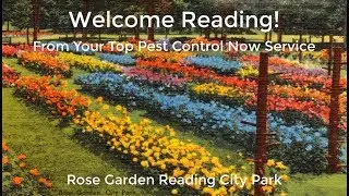 Bug Exterminator Reading Pa | Exterminator Reading Pa
