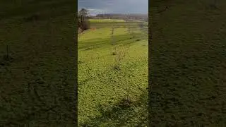 DJI Neo Jagdhundetraining