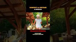 КОМПОСТ из листьев в мешках/РЕАЛЬНАЯ проверка