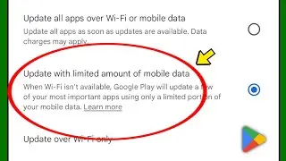 What does Update with limited amount of mobile data mean?