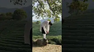 Roll your spine