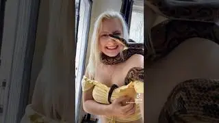 The most majestic snake with rainbow colors. The rainbow boa.