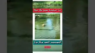 Real life GTA glitch spotted: Duck used cheat #GTAGlitchIRL #AnimalFails #FunnyShorts#ShortsIndia