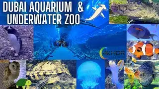 Dubai Aquarium & Rainforest Underwater Zoo | Inside The Dubai Mall 🇦🇪 | 4K HDR